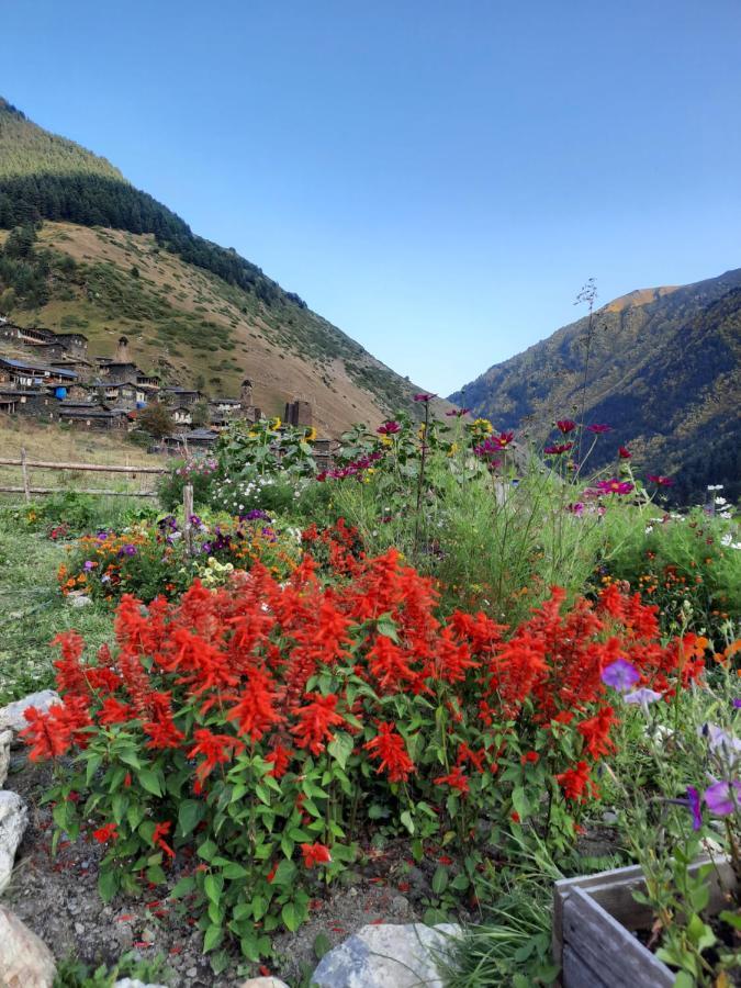 Guesthouse Pirimze Dartlo Bagian luar foto